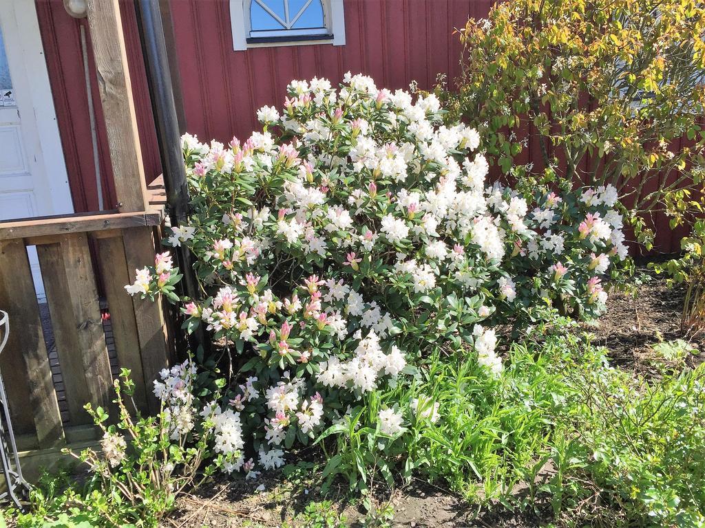Mattisgården Bed&Breakfast Östra Ljungby Exteriör bild